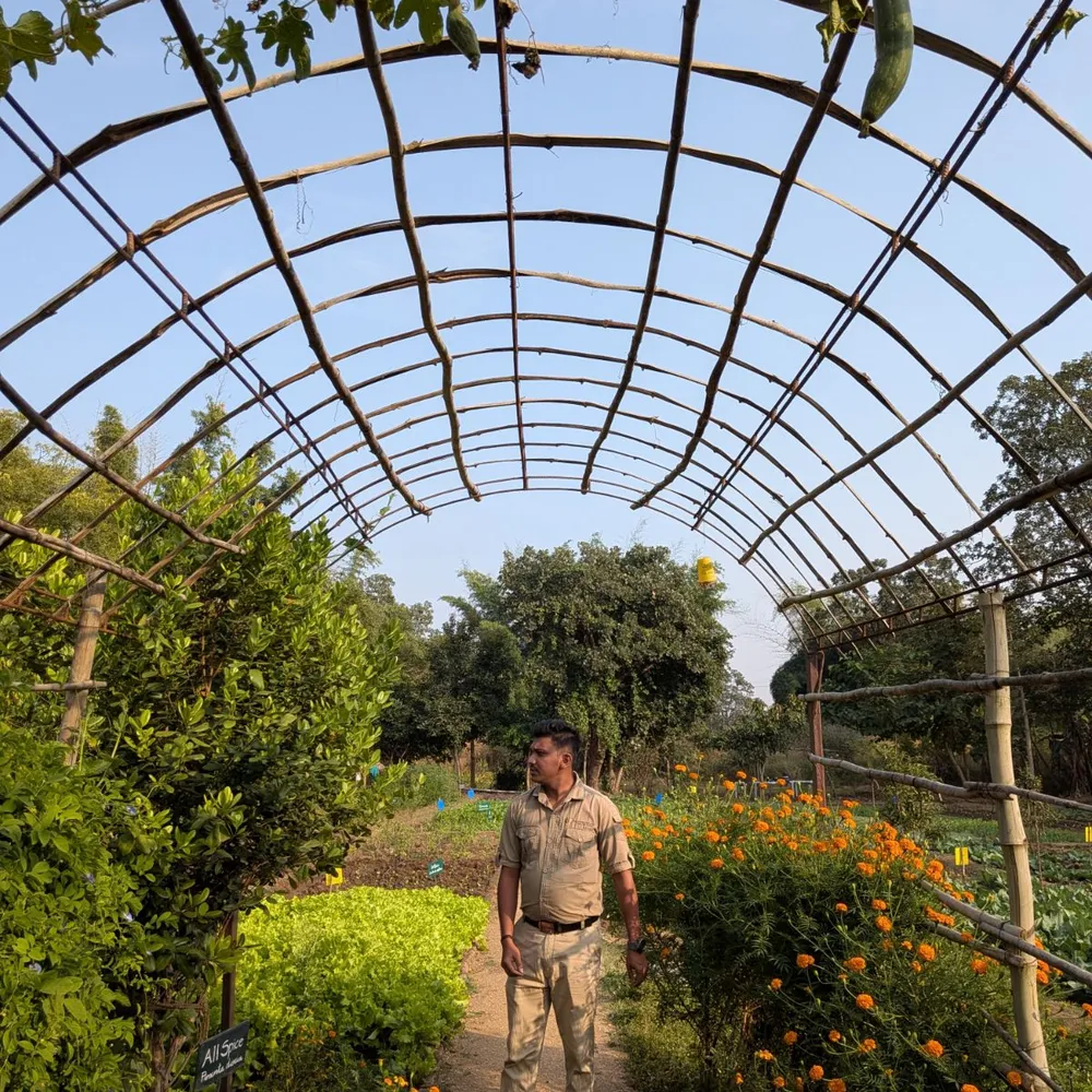 Gardens at Pench Tree Lodge, India
