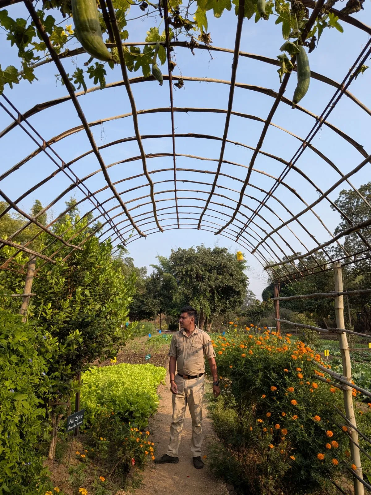 Gardens at Pench Tree Lodge, India