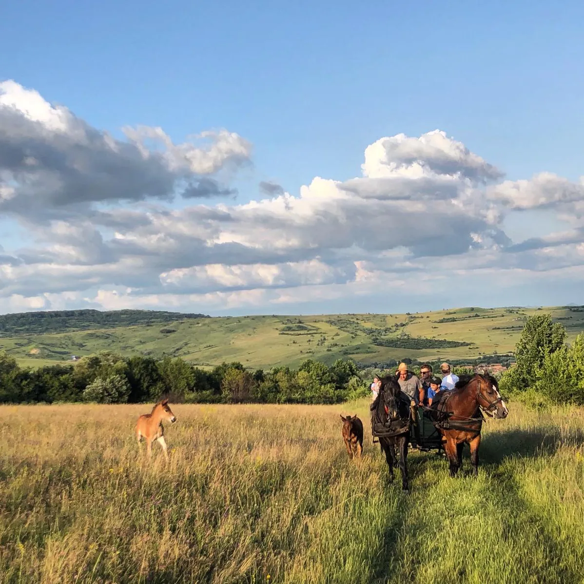 7c0ada40-6085-466e-a237-f71049bb5c7d