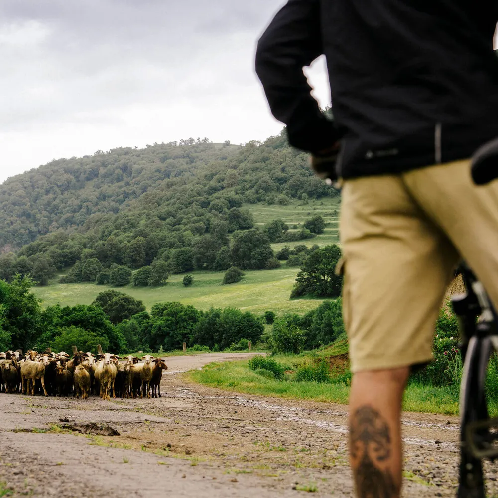 A-Slow-Cyclist-watching-a-shepherd-and-flock-of-sheep-in-Armenia