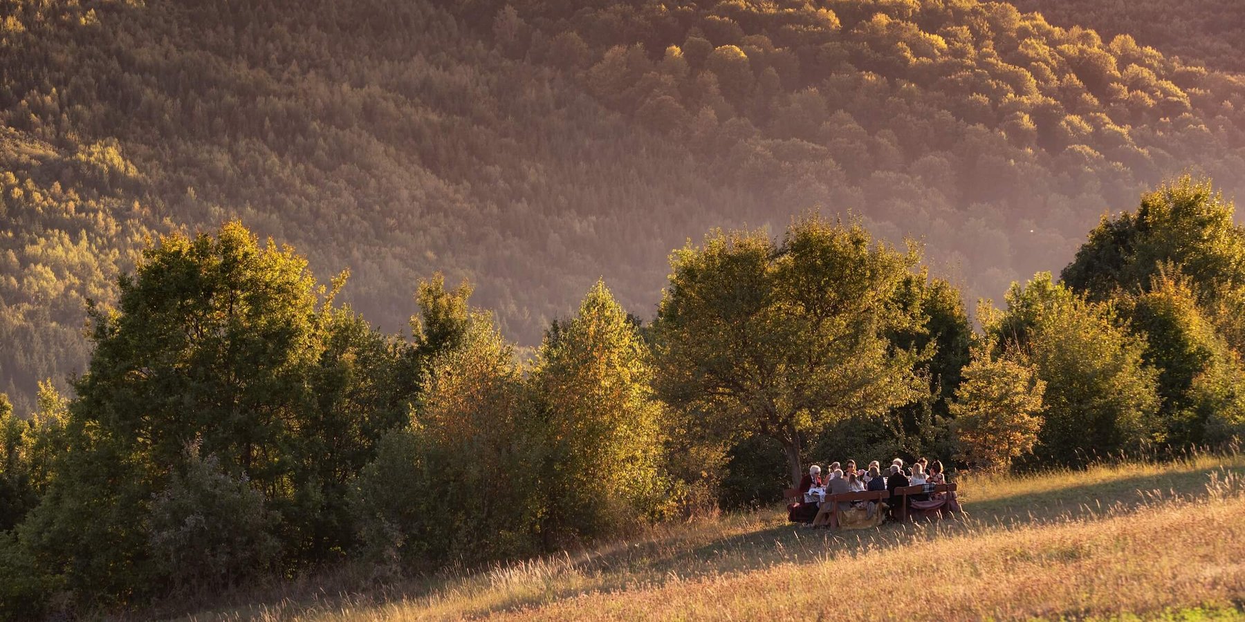 Guests enjoy a picnic in a field near King Charles's guest house in Zalanpatak, Transylvania