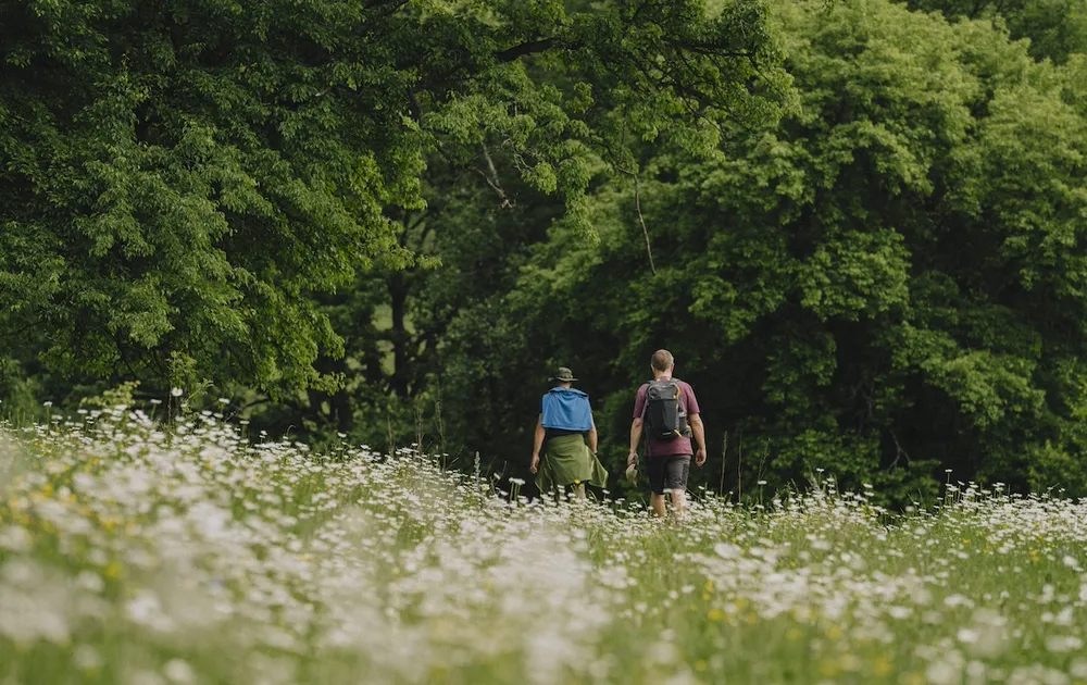 Armenian Highlands, Wildlfower Fields, guests walking