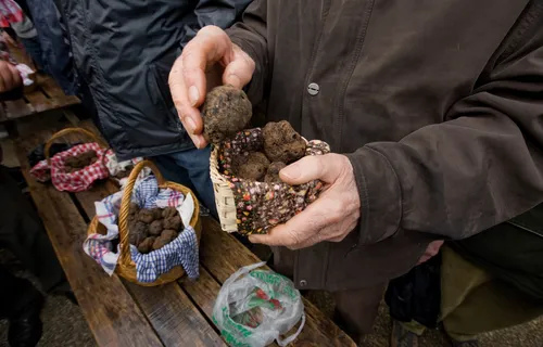 A man holds black truffles at a traditional market in Lalbenque, France