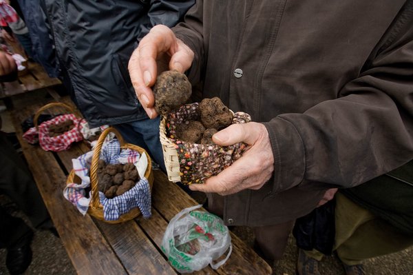 A man holds black truffles at a traditional market in Lalbenque, France