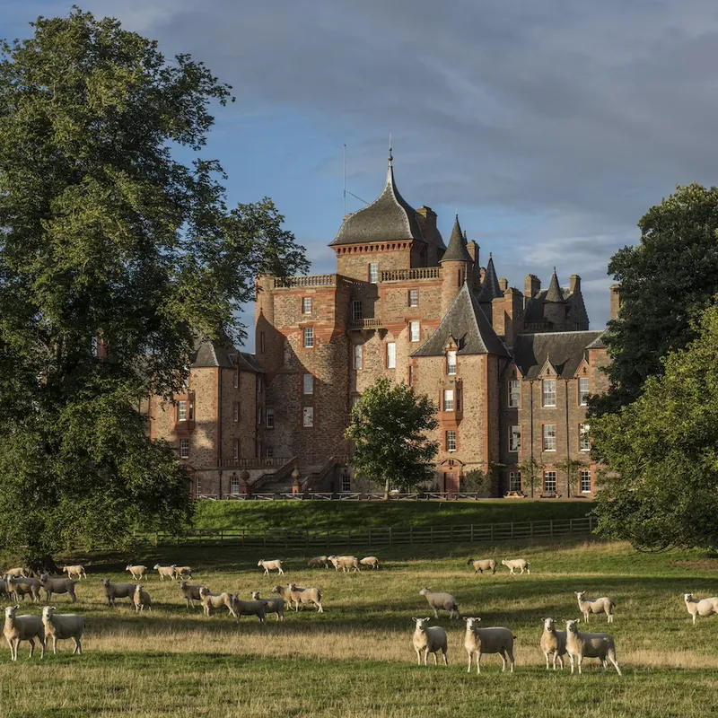 Exterior shot of Thirlestaine castle with sheep grazing, The Scottish Borders, Scotland