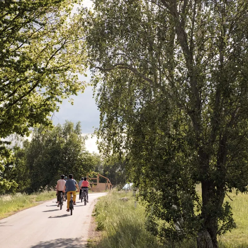 Slow Cyclist guests riding through the countryside of Lower Silesia, Poland.