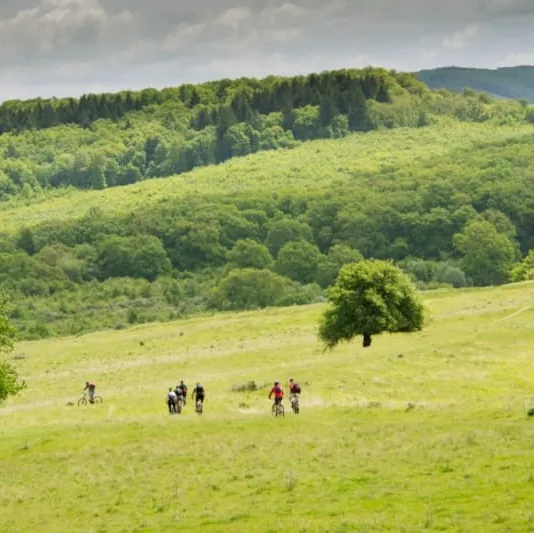 Cycling Transylvania