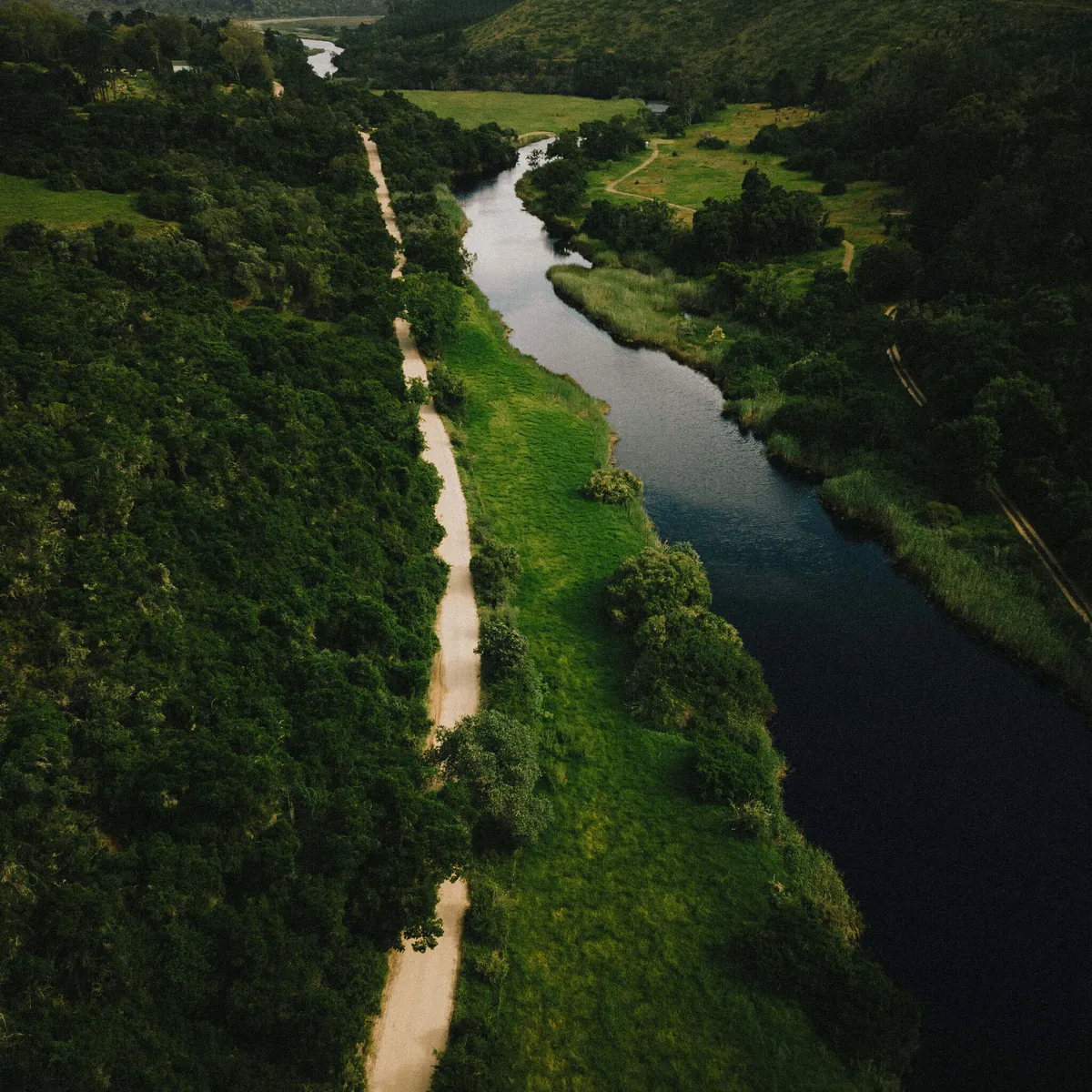 River running alongside track, lush green vegetation, Karoo, South Africa