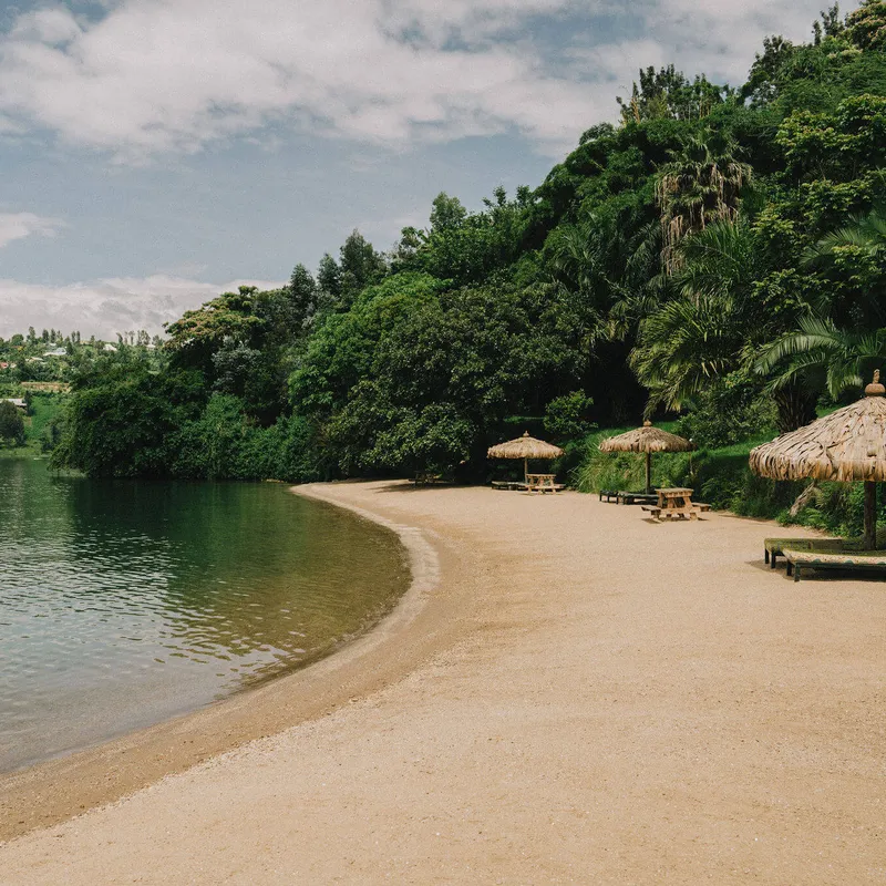 Sandy beach against forest, Northern Rwanda