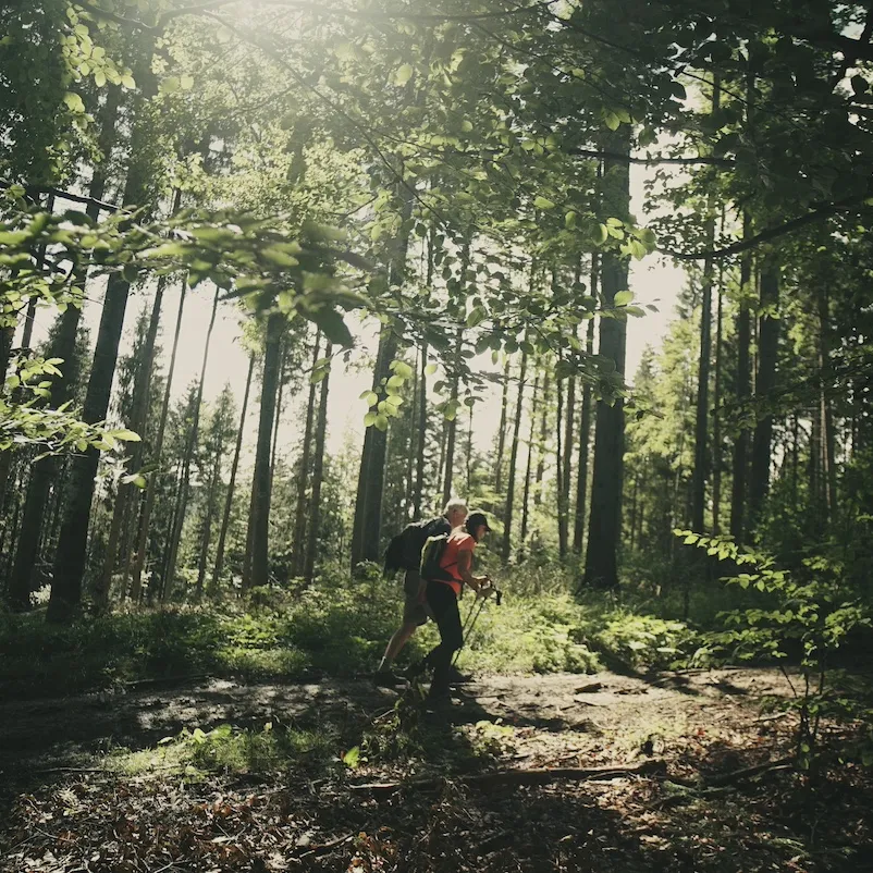 Hikers in Bucovina, Via Transilvanica, Romania