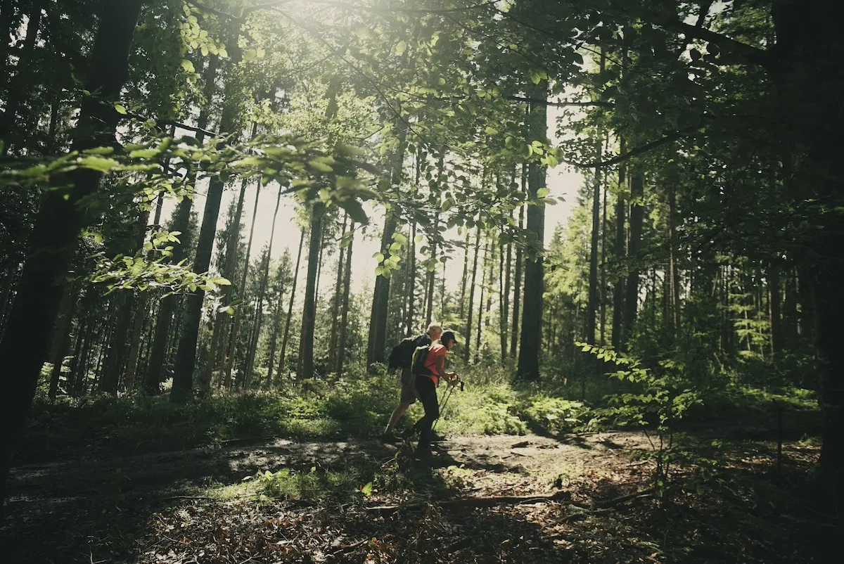 Hikers in Bucovina, Via Transilvanica, Romania