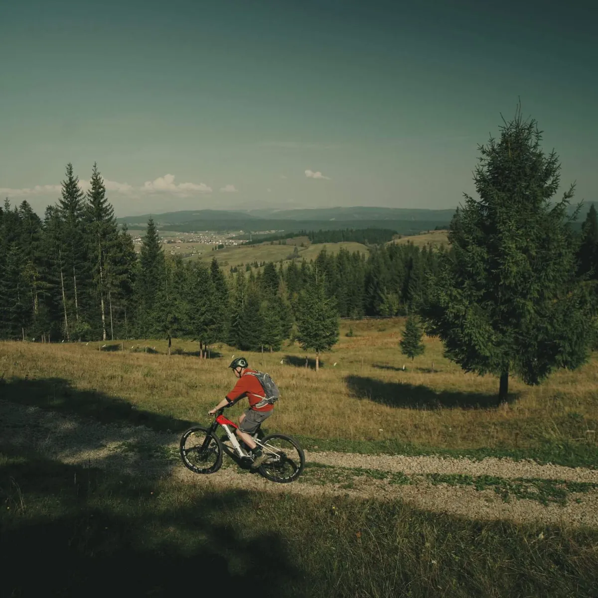 Solo cyclist on the trail, Via Transilvanica, Bucovina, Romania