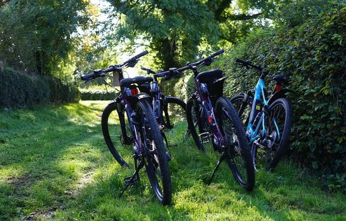 Electric bikes in shade by hedge, Herefordshire, UK