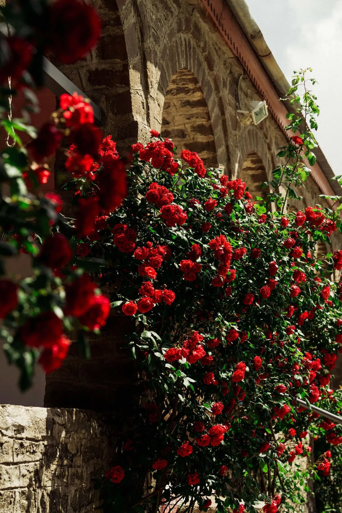 Flowers outside the church in Frangades, visted by Slow Cyclist guests on a journey through Zagori, Greece