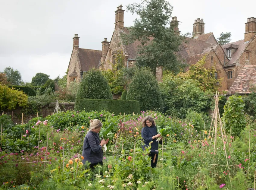 Henrietta Bridget The Land Gardeners