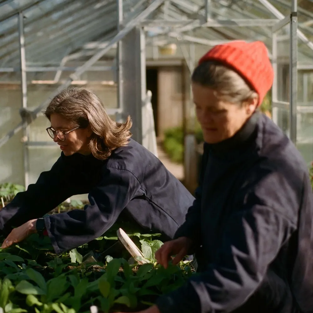 Henrietta and Bridget, from The Land Gardeners, in the greenhouse