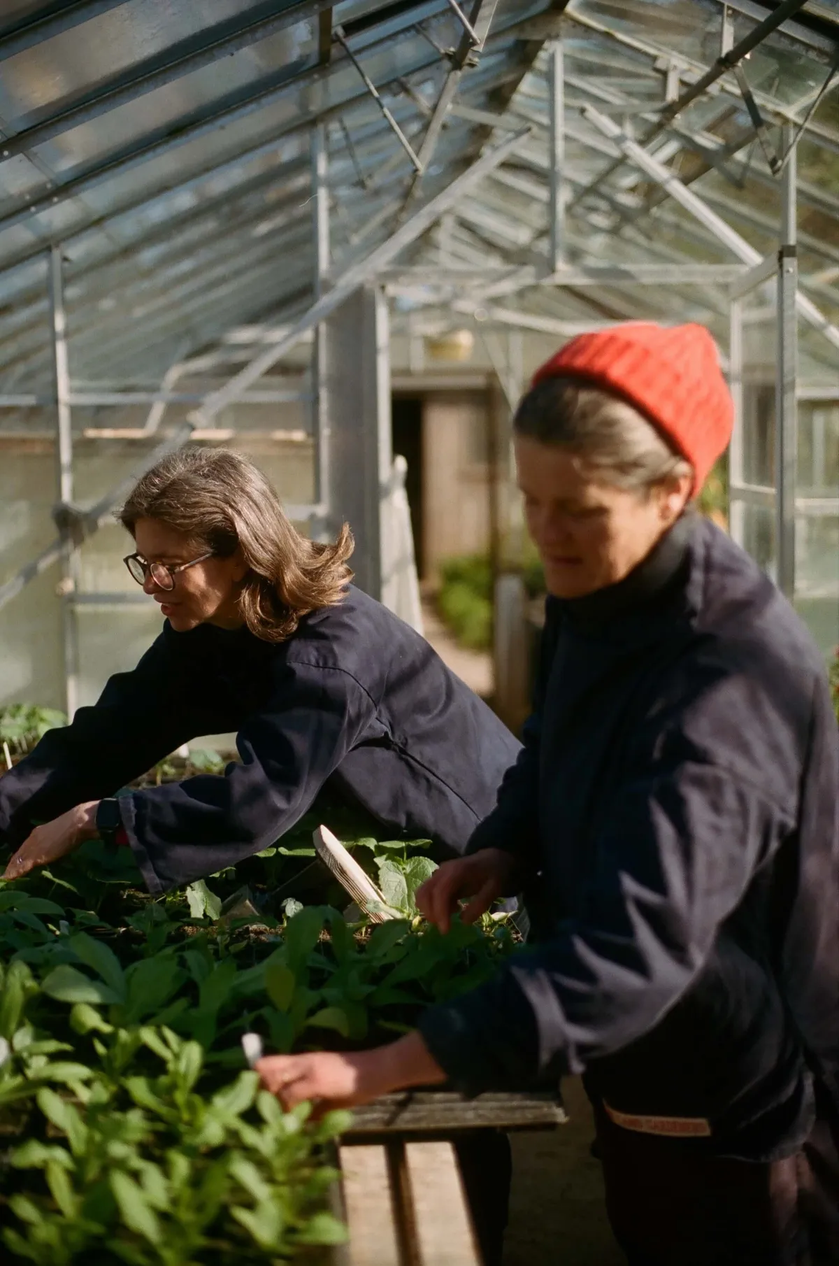 Henrietta and Bridget, from The Land Gardeners, in the greenhouse