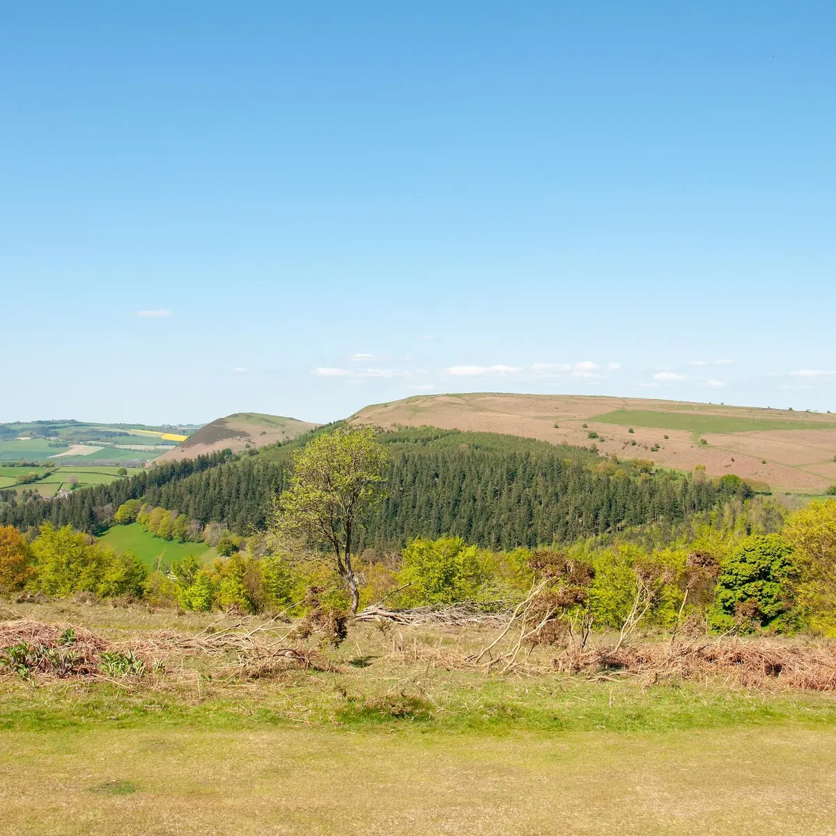 Hergest ridge, herefordshire, shutterstock, uk