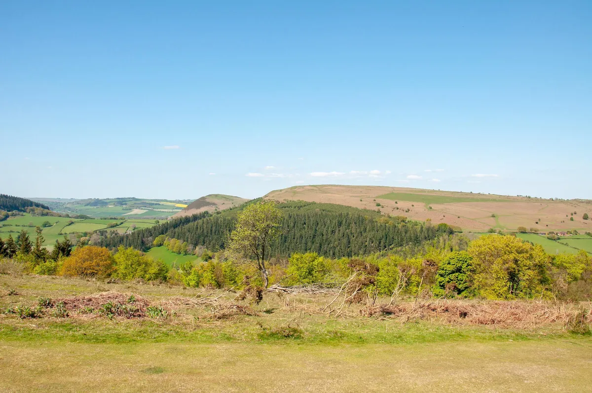 Hergest ridge, herefordshire, shutterstock, uk