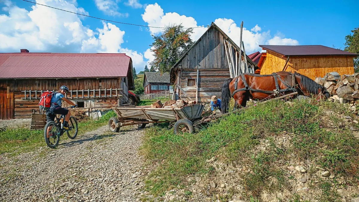 IMG_20230912_110805
