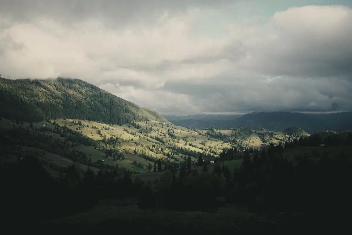 The rolling hills and forests of Bucovina, seen by Slow Cyclist guests as they ride the Via Transilvanica trail.
