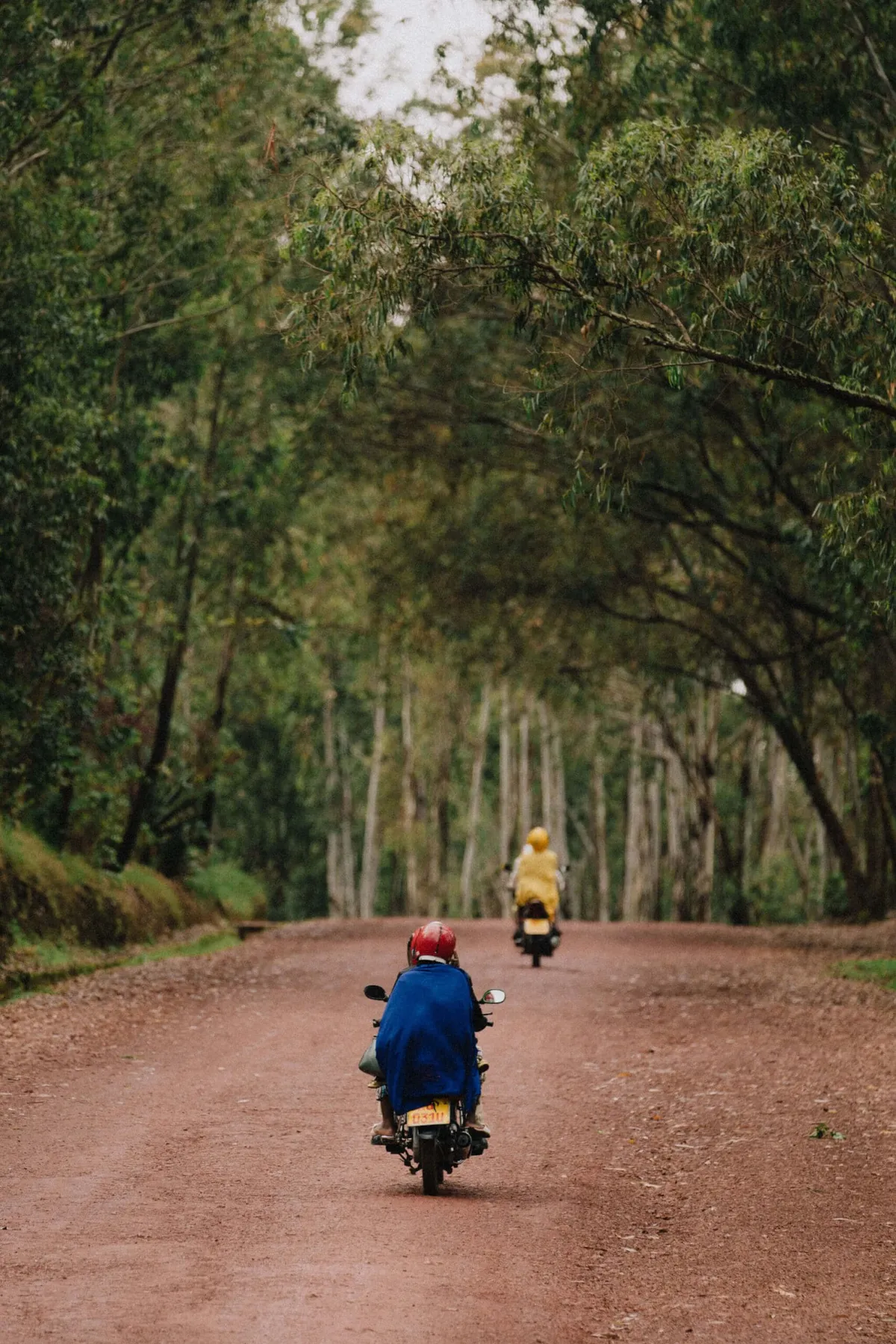 Mopeds on the red roads of Rwanda