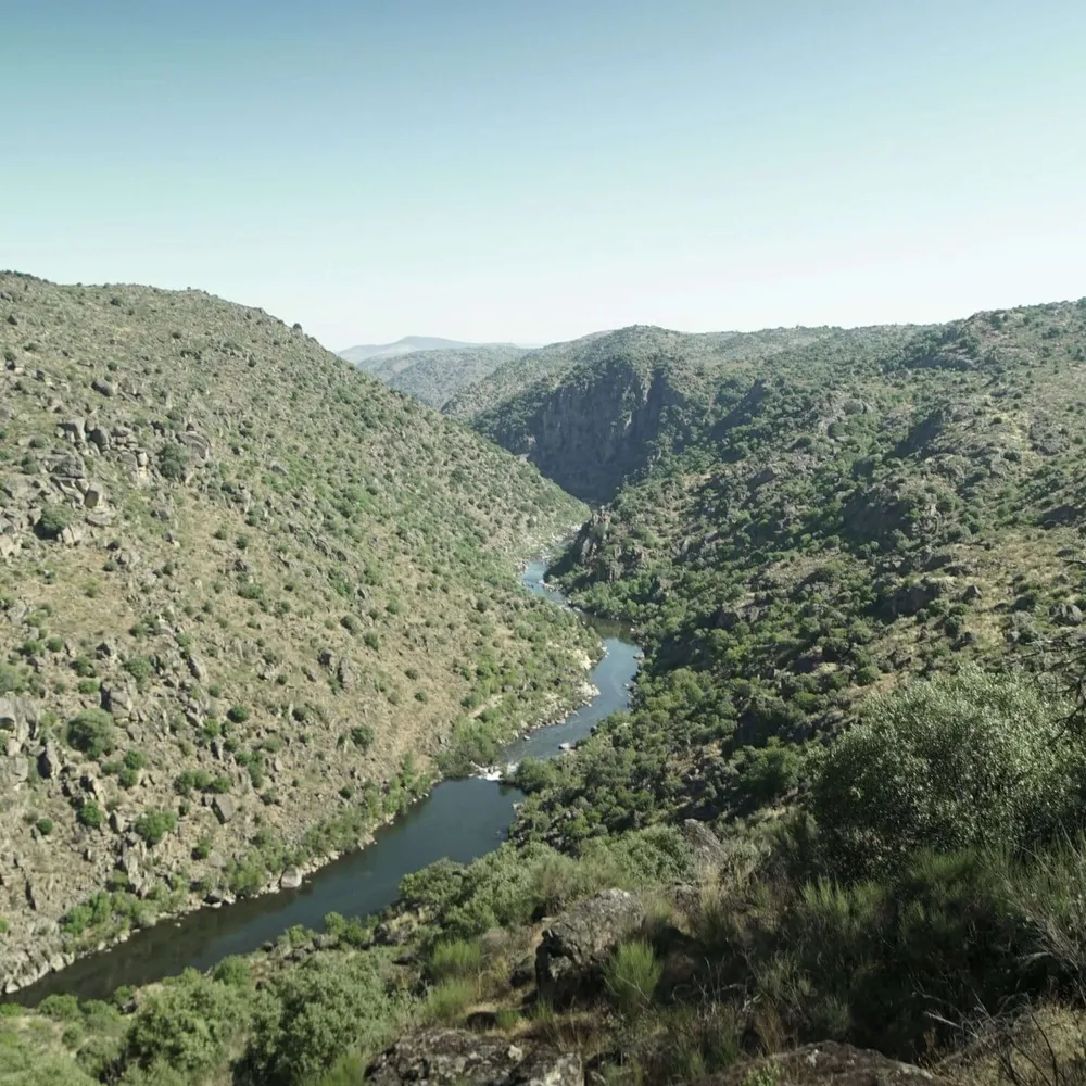 Overlooking the Coa river running through a valley in Portugal, visited on a Slow Cyclist journey