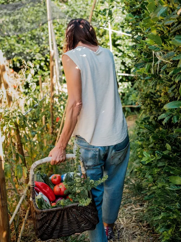 A woman picking tomatoes in the gardens of Case Catalano