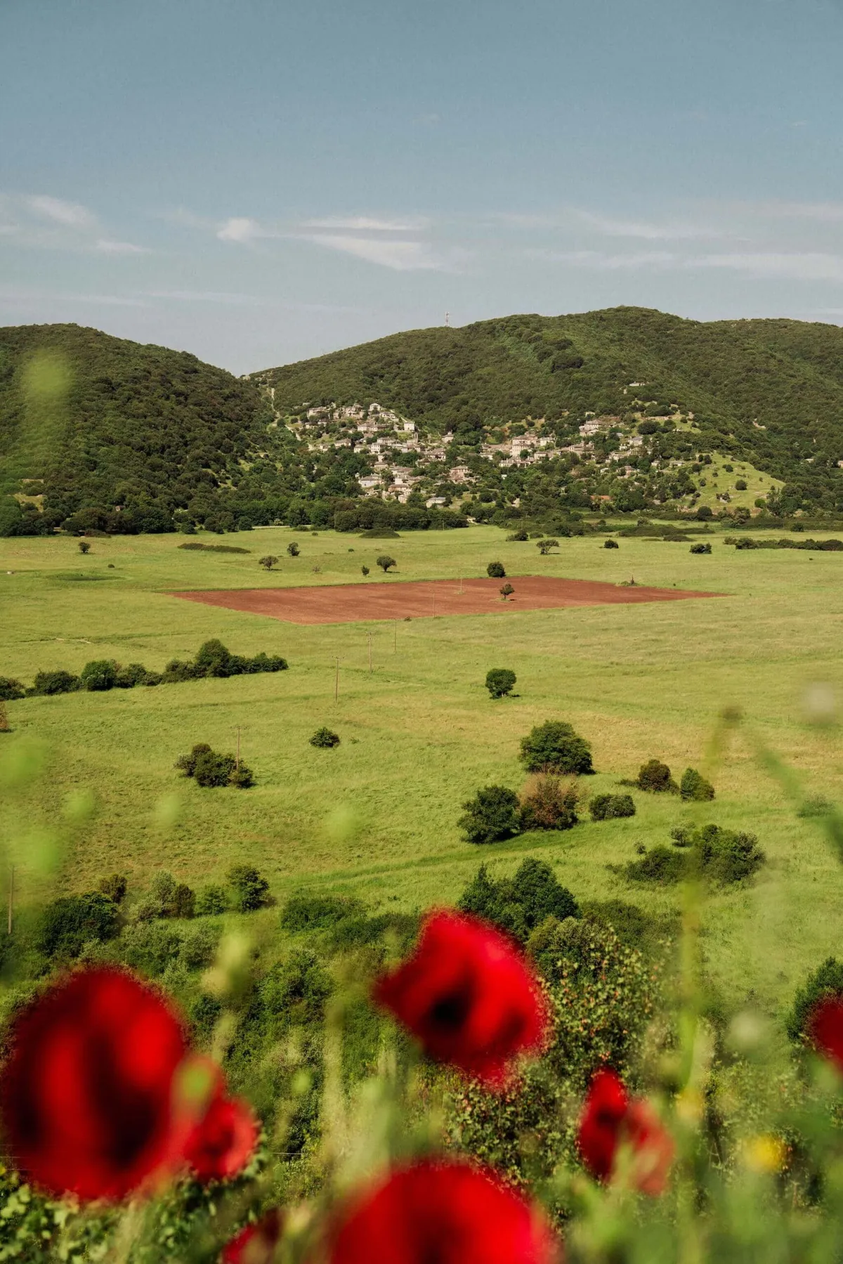 Poppies, fields and mountains seen a journey through Zagori, Greece with The Slow Cyclist.