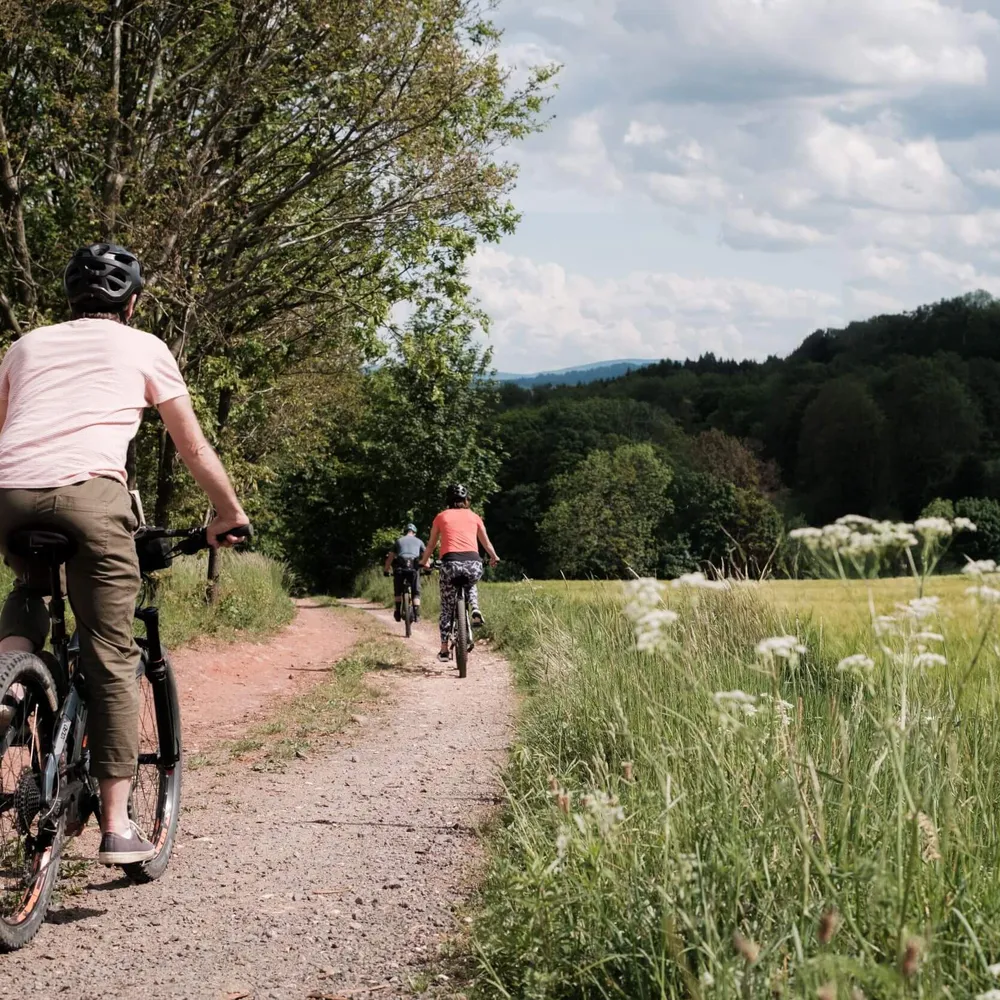 Riding-through-meadows-in-Lower-Silesia-Poland-on-a-Slow-Cyclist-journey