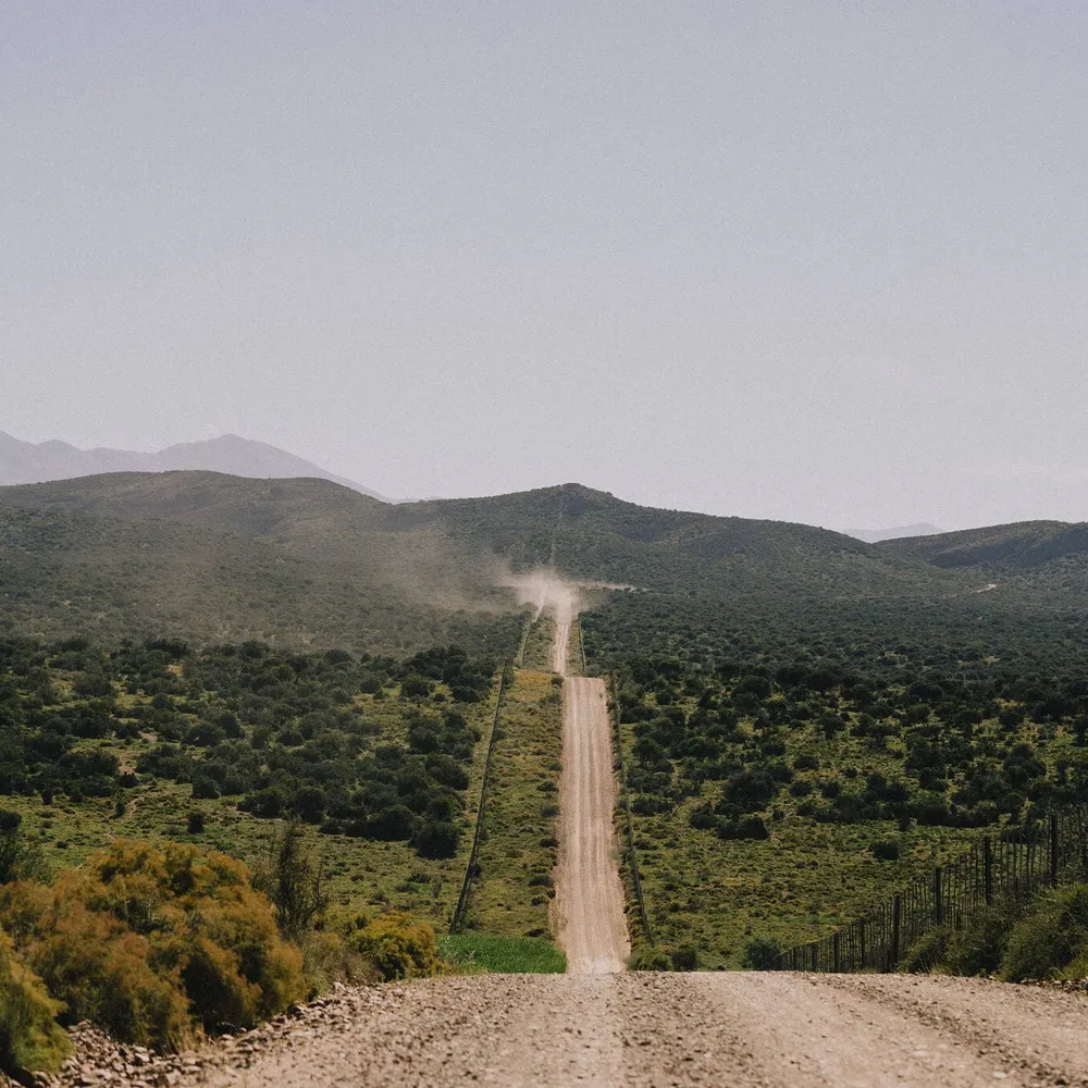 A road rolling through the hills in the Klein Karoo, perfect for cycling on a Slow Cyclist journey