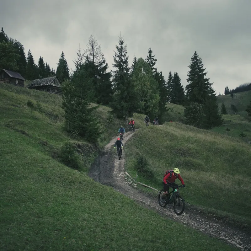 Slow Cyclists descending a hill on mountain bikes in Bucovina, cycling the Via Transilvanica