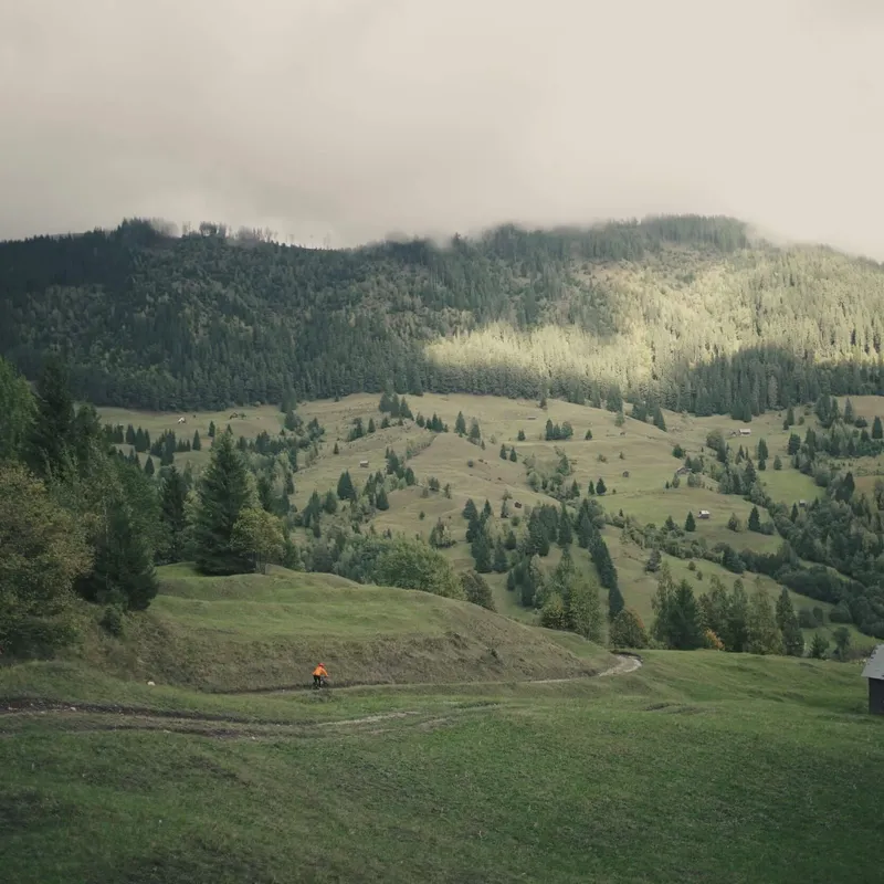 Three Wild Lines guests riding downhill with tree-covered hills behind in Bucovina, Romania.