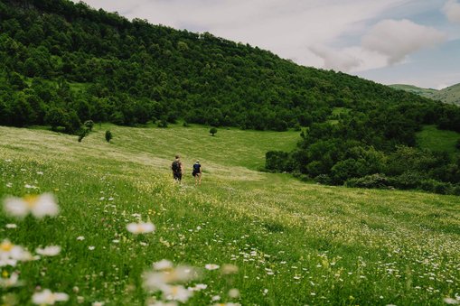 Slow Cyclists walking in wildflower meadows in the Armenian Highlands