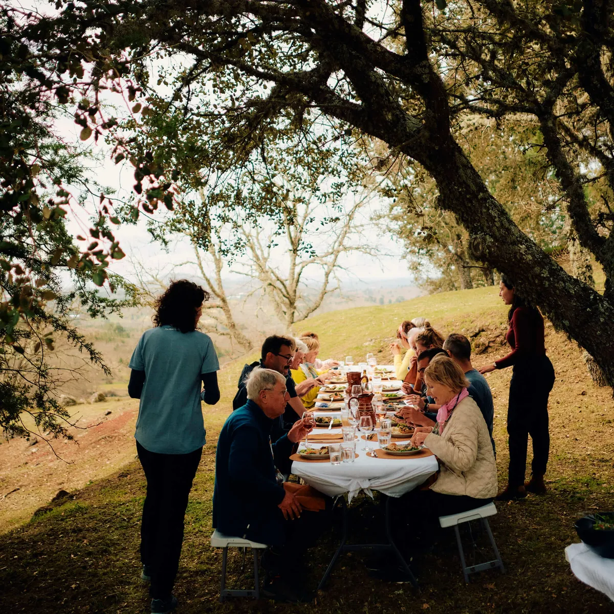 A group of Slow Cyclist guests enjoying lunch at a picnic table in the Coa Valley