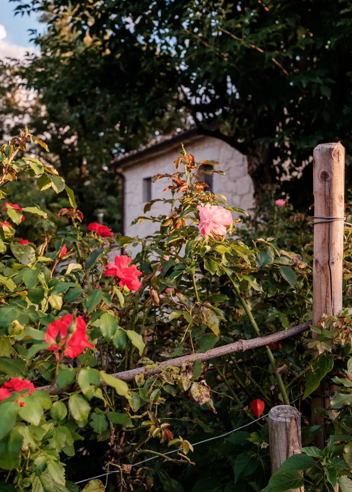Small white cottage amid colourful flowers and trees, Case Catalano, Abruzzo, Italy