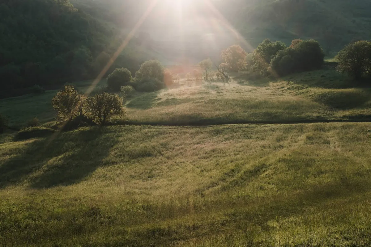 TSC_Romania_HIGH_RES-32