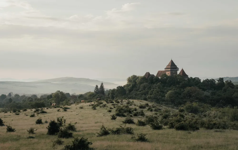 TSC_Romania_HIGH_RES-100
