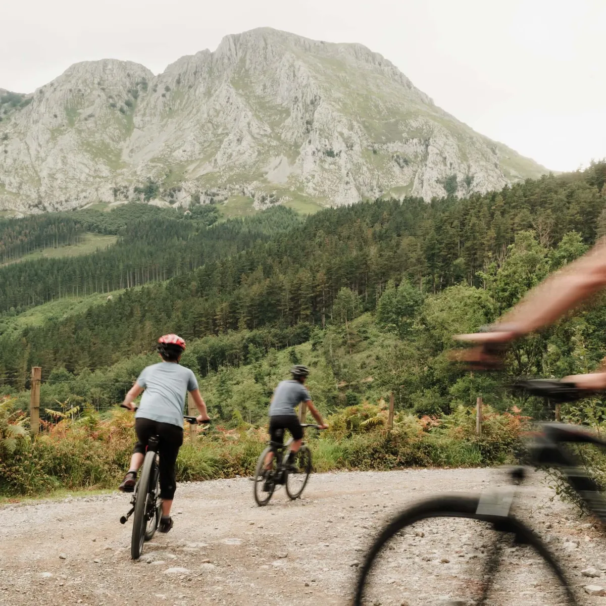 Cyclist on the road, forest and mountain background, Spanish Basque, Spain