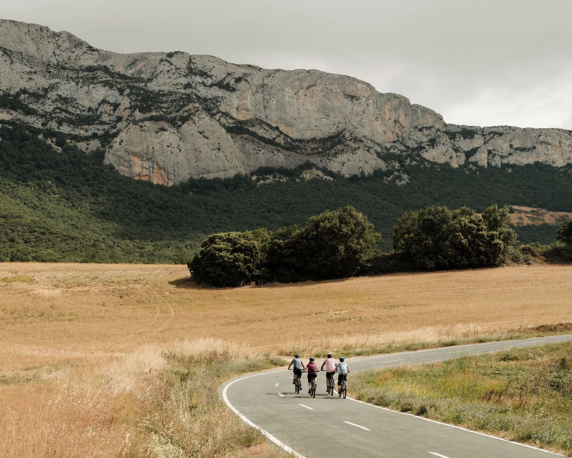 Cyclists on road in font of field and mountain, Spanish Basque