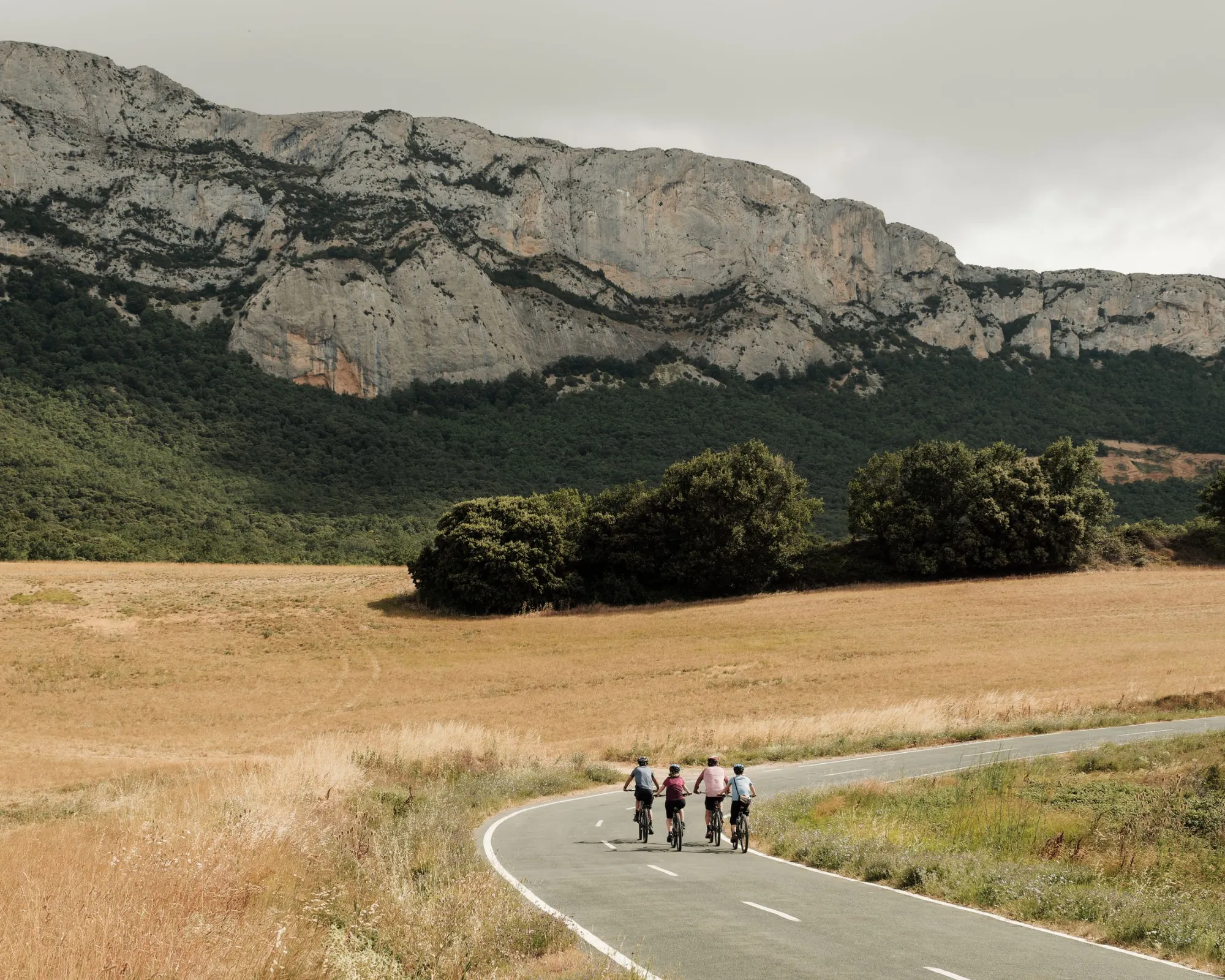 Cyclists on road in font of field and mountain, Spanish Basque