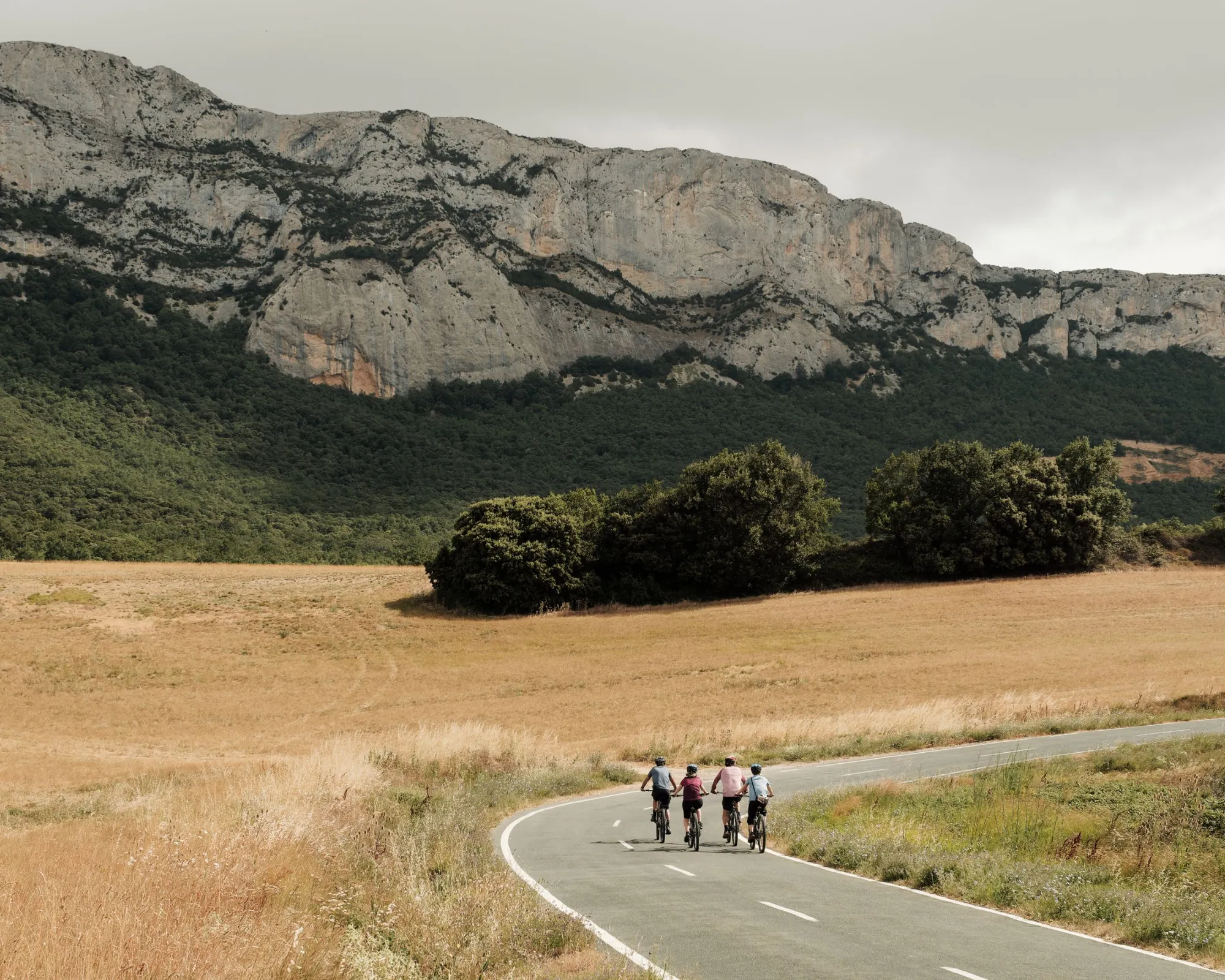 Cyclists on road in font of field and mountain, Spanish Basque