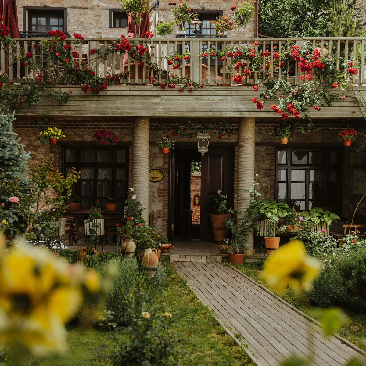 Taurus_ChrisJoubert_2024_-14