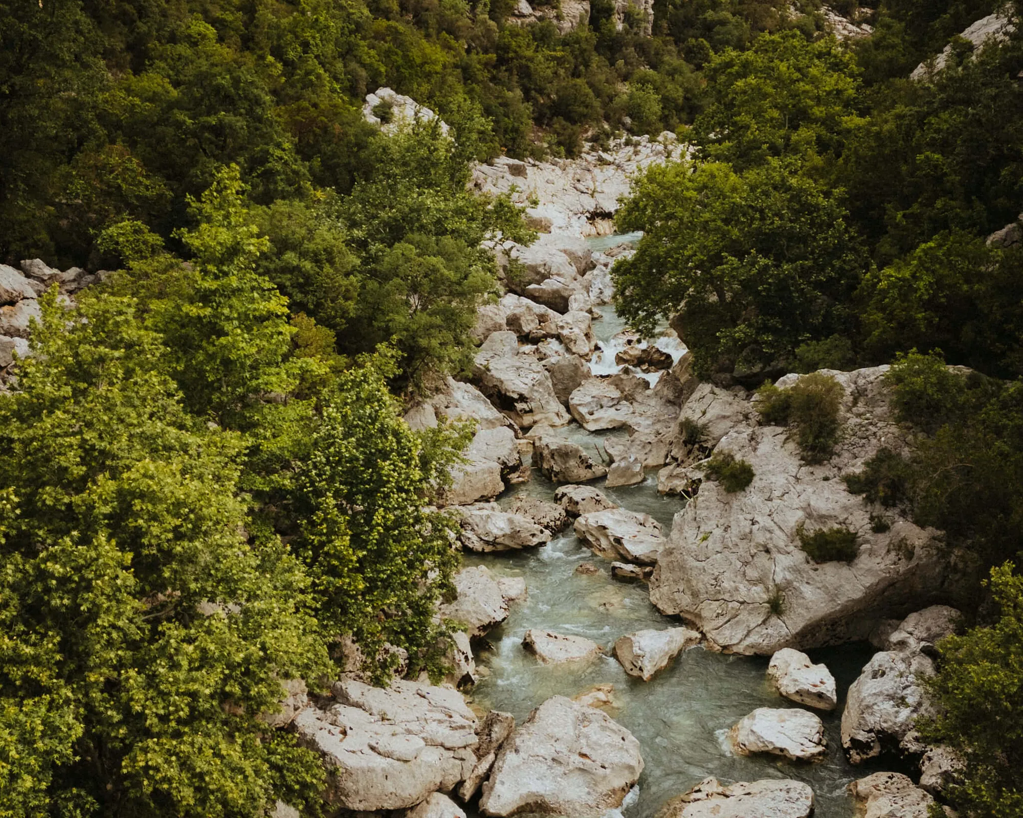 Taurus_ChrisJoubert_2024_-94