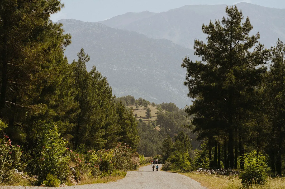 Taurus_ChrisJoubert_2024_-101