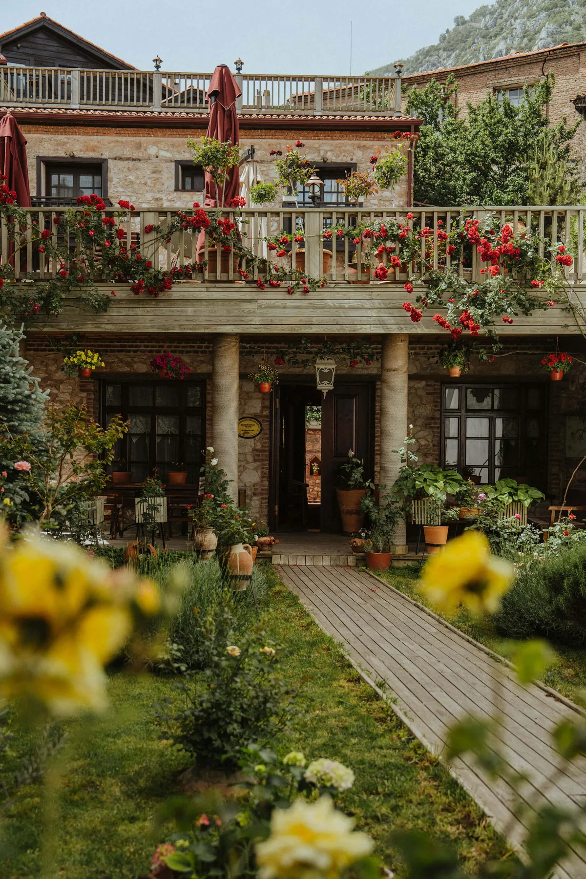 Taurus_ChrisJoubert_2024_-14