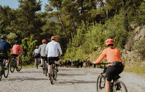 Taurus_ChrisJoubert_2024_-118