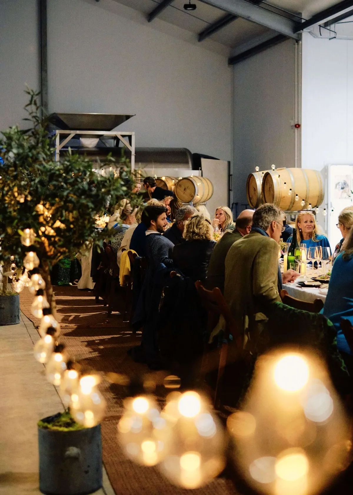 The Slow Table guests enjoying a Syrian dinner among the tanks of The Grange's wine room