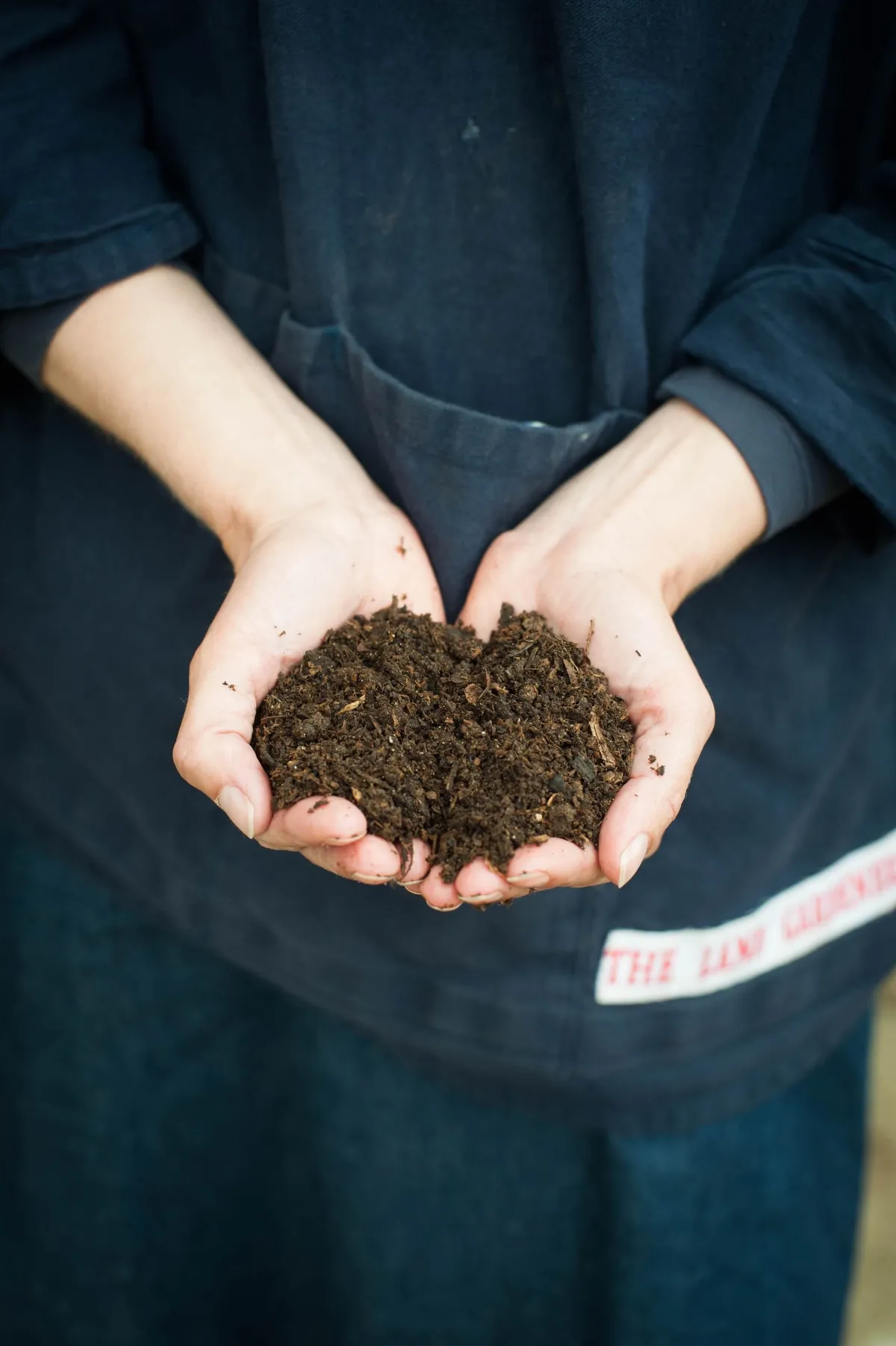 Hands holding soil as part of The Land Gardeners' soil analysis