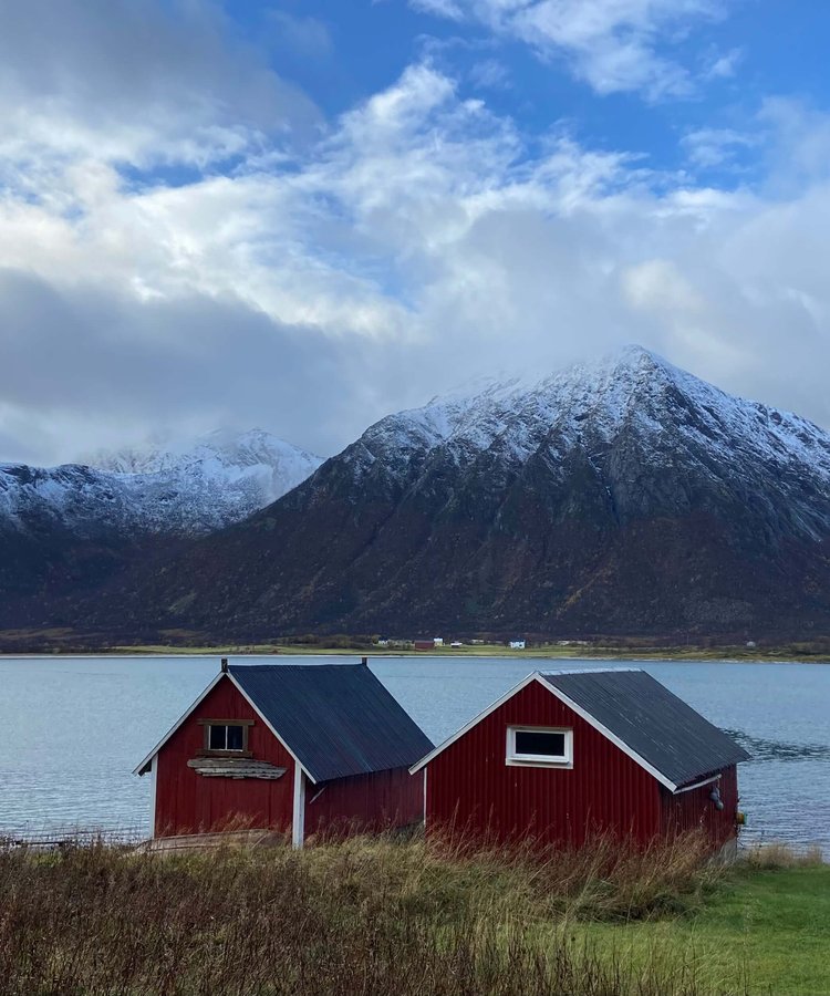 Traditional red timber houses by coast against snowy mountain backdrop Vesteralen, Norway